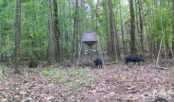 POWERLINE Road, Angie, LA 70426