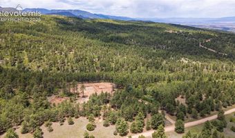 8719 Ponderosa Pine Dr, Beulah, CO 81023