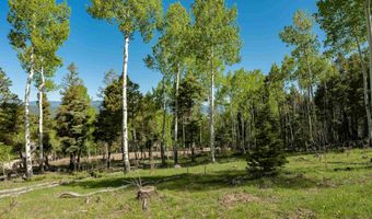 Lot 437 El Camino Real, Angel Fire, NM 87710