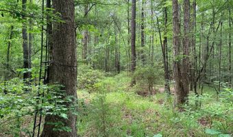 Low Water LN SW, Brookhaven, MS 39601