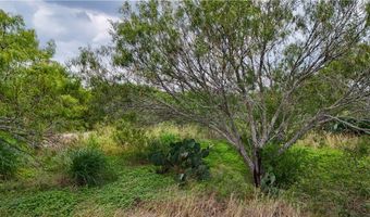 1297 County Road 336, Alice, TX 78332