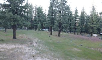 4300 Meadow Wood Rd, Carson City, NV 89703