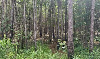 Beltline Drive, Brookhaven, MS 39601