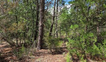 NE 95TH Street, Archer, FL 32618