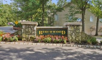 13 Birchwood Rd, Bedminster, NJ 07921