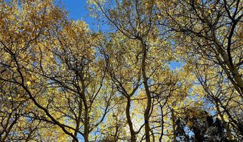 Calle de los Indios lot 71, Angel Fire, NM 87710