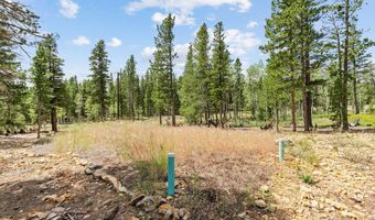 20 Paint Brush Dr, Black Hawk, CO 80422