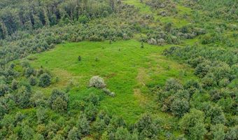 62- Acres Grandmas Hill Rd, Amherst, VA 24521