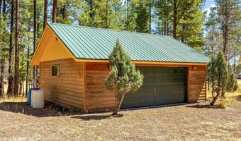 61 Co Rd 2266, Alpine, AZ 85920