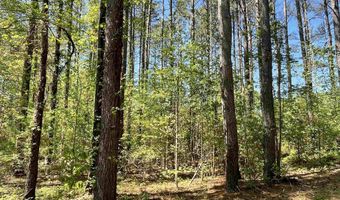 440 Mt. Carmel Rd, Abbeville, SC 29620