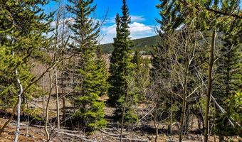 270 Co Rd 667 Lot 0, Alma, CO 80440