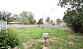 207 E Stockton Ave, Alpine, TX 79830