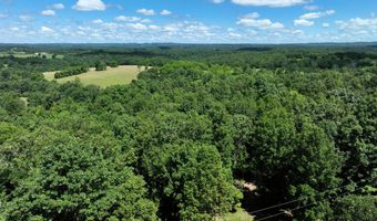 State Highway U, Ava, MO 65608