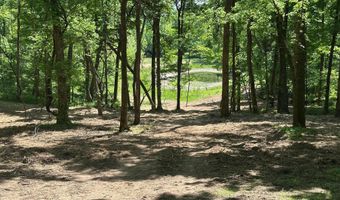 10515 Paw Paw Springs Rd, Arrington, TN 37014