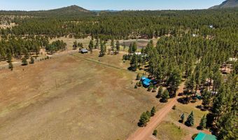 16 County Road 2089, Alpine, AZ 85920