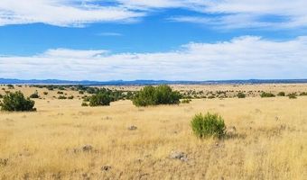 Arapaho 3, Concho, AZ 85924