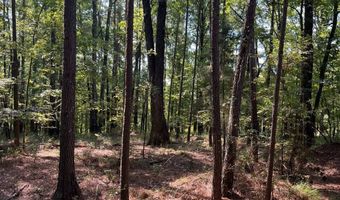 0 Nick Creek Rd, Bernice, LA 71222