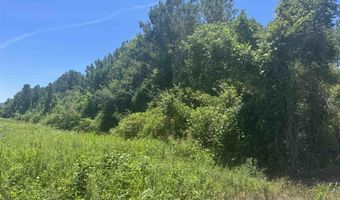 HIGHWAY 431 lot 0, Alexandria, AL 36250