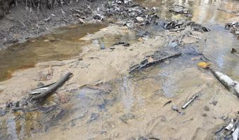 U.S. Highway 51, Bogue Chitto, MS 39629
