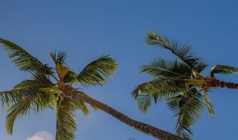 940 S Kihei Rd A101, Kihei, HI 96753