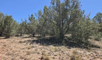 450 Arizona Rd, Ash Fork, AZ 86320