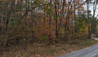 0 N Fork Rd 37.9 Acres, Amherst, VA 24521