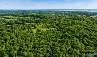 58 Acres Naples Ln, Arab, AL 35016