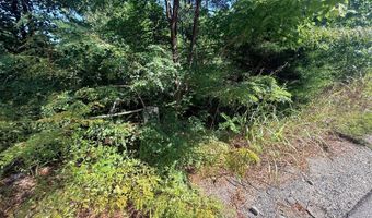 106 W 4th Street Lot W, Aurora, IN 47001