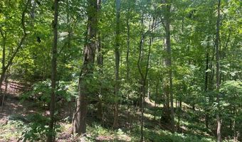6 Acres Henry Scott, Ball Ground, GA 30107