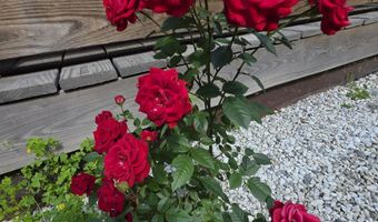 98 Merchant St, Barre, VT 05641