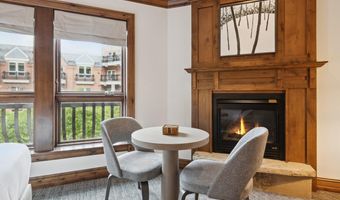 415 E Dean St Unit 24 Week 7, Aspen, CO 81611