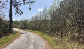 Tract 5 Smith Lane, Bowman, SC 29018