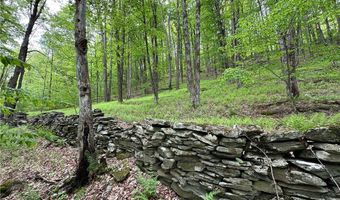 Woodland Hills Road, Andes, NY 13731