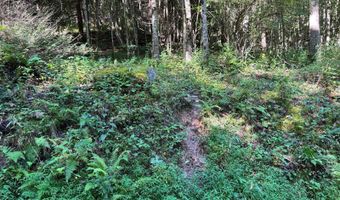 0 Pullim Hollow Rd, Addison, PA 15411