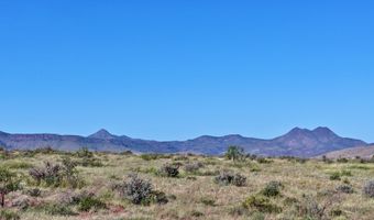 Tract 9 Sierra La Rana, Alpine, TX 79830