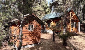 4537 N Elk Loop Rd, Ashton, ID 83429