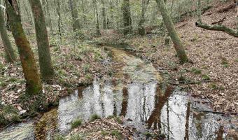 34655 Co Rd 49, Beaverton, AL 35544