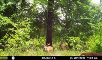 East Highway 3, Atoka, OK 74525