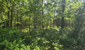 TRACT 40 TRAIL RIDGE ROAD, Albion, OK 74571