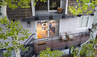 901 E Hyman Ave 4, Aspen, CO 81611
