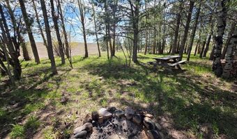 4450 Golden Eagle Dr, Ashton, ID 83420