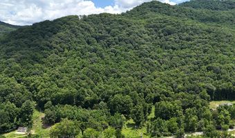 TBD Paint Fork Rd, Barnardsville, NC 28709