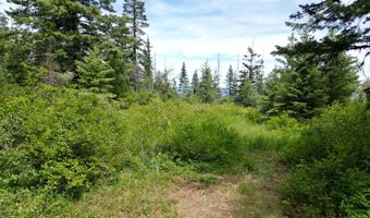 NKA INITIAL PEAK Rd, Cataldo, ID 83810