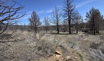 31763 Godowa Springs Rd, Beatty, OR 97621