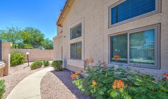 2019 W Lemon Tree Pl 1130, Chandler, AZ 85224