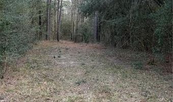 TBD 6.982 AC PROVIDENCE ESTATES Road lot 41A, Amite, LA 70422