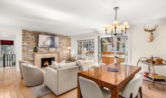 747 S Galena St 230 & 330, Aspen, CO 81611