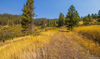 0 Summitview Dr, Ahsahka, ID 83520