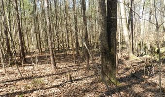 Tbd Oakland Avenue, Asheboro, NC 27205