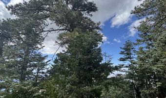 636 Mountain Center 35-0002, Mountain Center, CA 92561